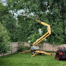 Best Lawn Pest Prevention  in Yuc Valley, CA