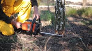 Best Lawn Irrigation Installation and Maintenance  in Yuc Valley, CA